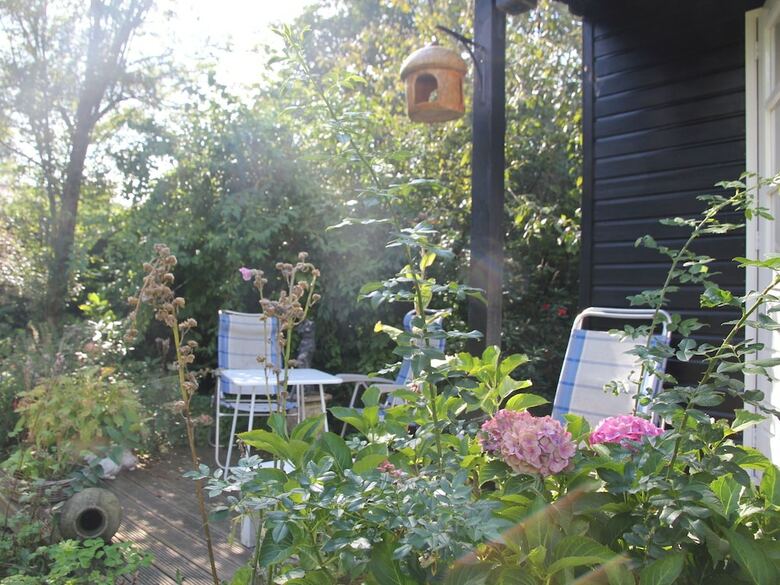 Romantic Cottage In Bergen North Holland With Terrace