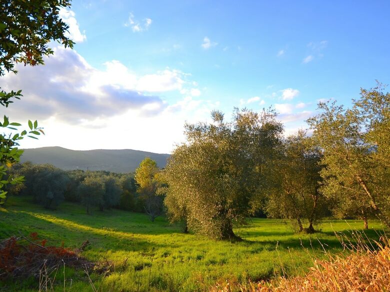 Charming Villa In Tuscany With Swimming Pool