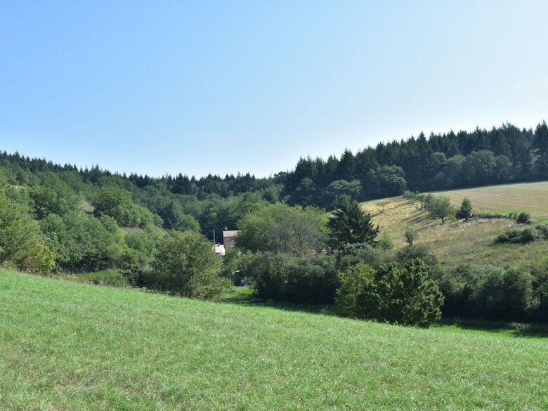 Peaceful Holiday Home In Burgundy Near Forest