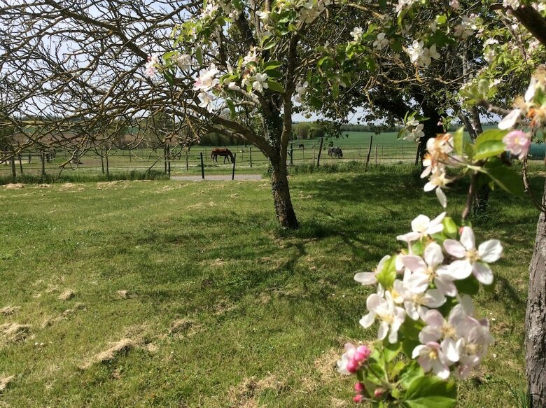 Bed & Breakfast La Maison Du Poirier