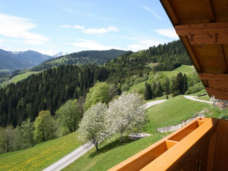 Beautiful Holiday Home In Wagrain With Garden