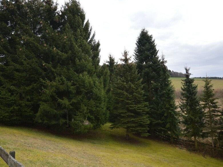 Luxurious Apartment In Balesfeld Eifel Near Town Center