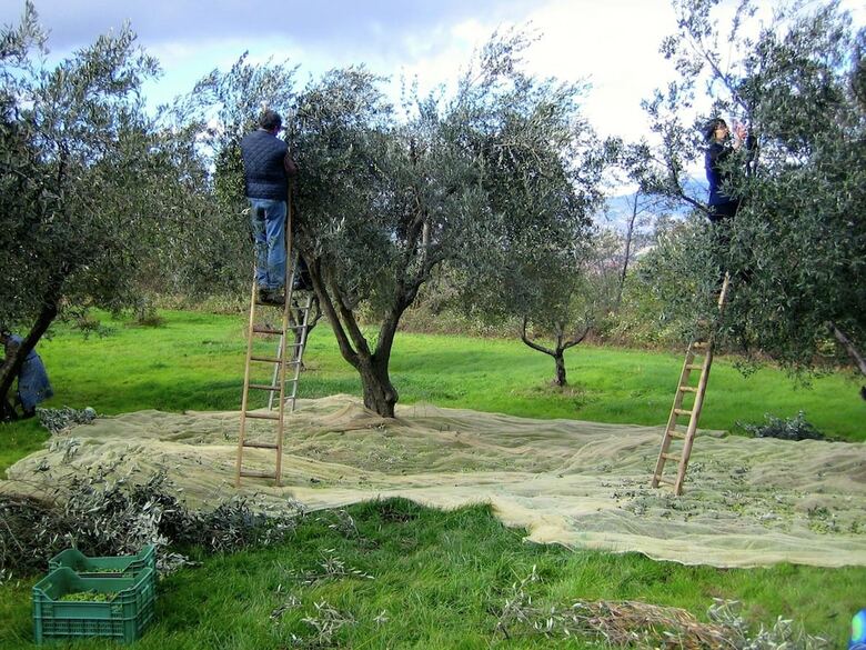 Cozy Cottage In Abbateggio With Garden