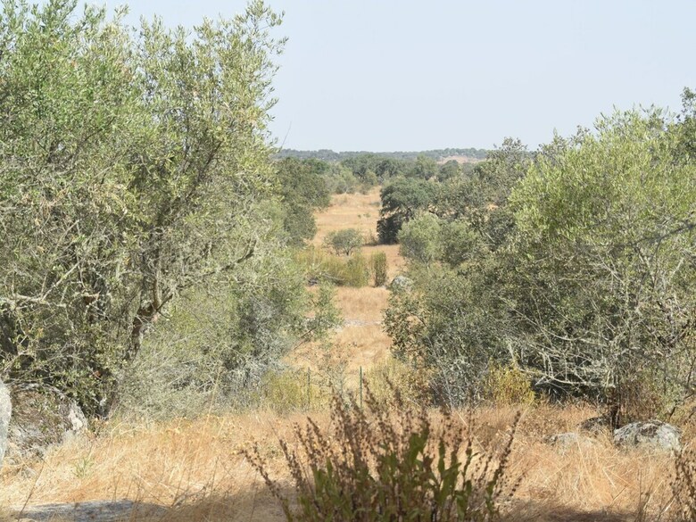 Villa A Comfortable Holiday Home With Private Swimming Pool, Tranquility And Privacy
