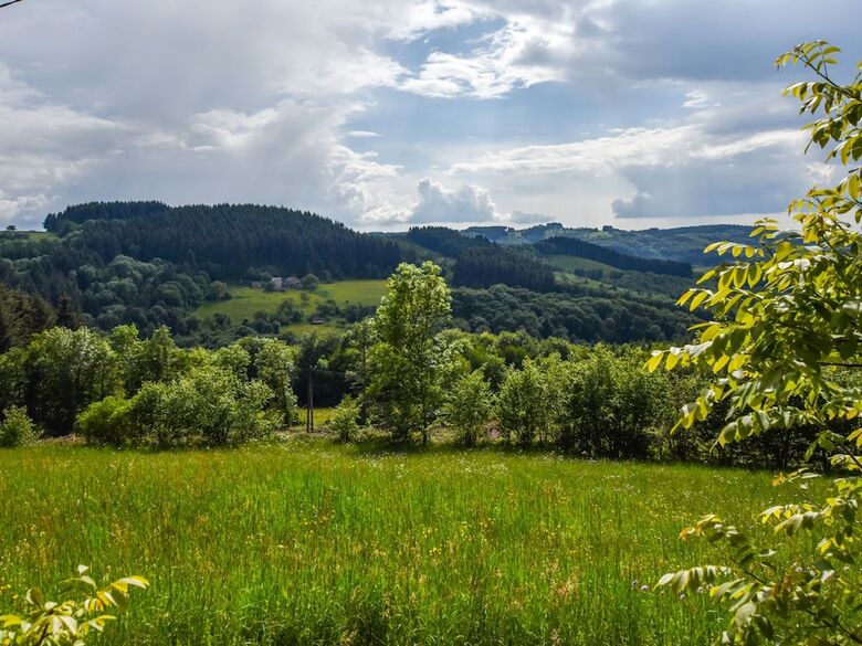 Lush Holiday Home In Ferri�res-sur-sichon With Bbq