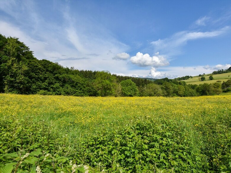Lush Holiday Home In Ferri�res-sur-sichon With Bbq