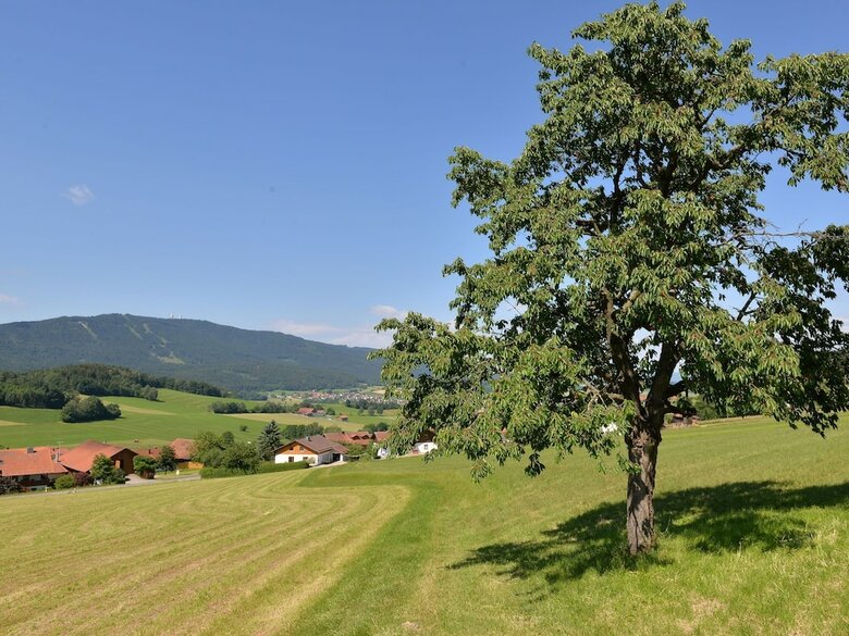 Apartamentos Flat With Balcony In The Upper Bavarian Forest Nature Park