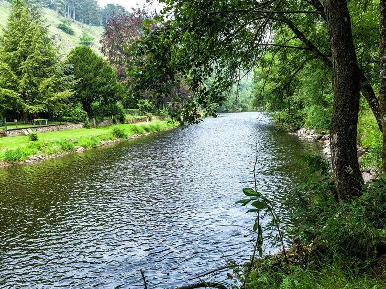 Cosy Chalet In Bomal-sur-ourthe With Terrace