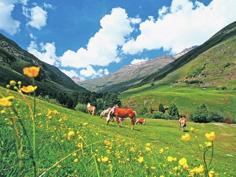 Spacious Apartment In L�ngenfeld Near �tz Valley Alps