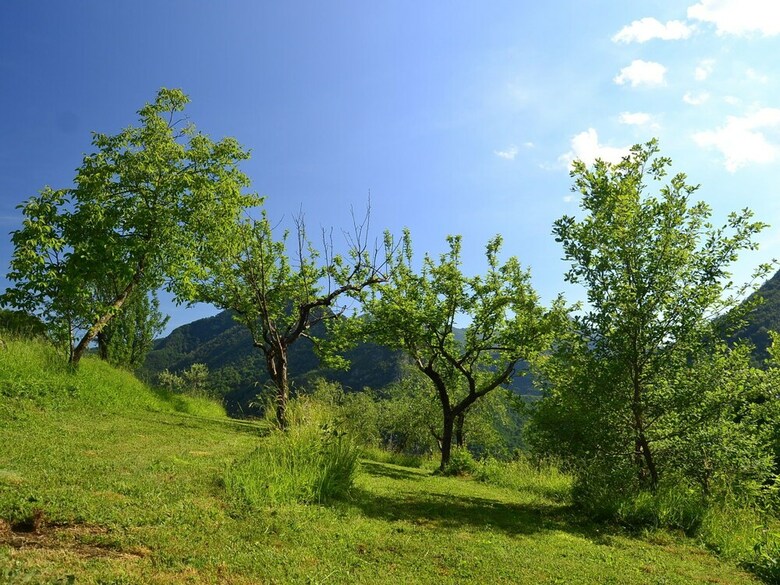 Splendid Cottage In Vergemoli With Barbecue And Garden