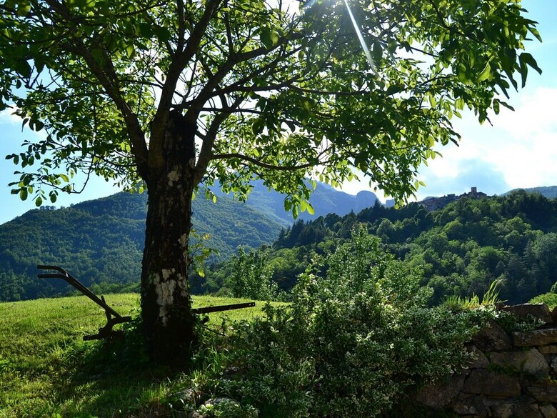 Splendid Cottage In Vergemoli With Barbecue And Garden