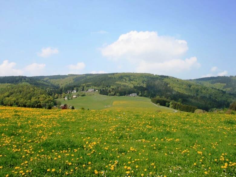 Modern Apartment In Willingen With Garden