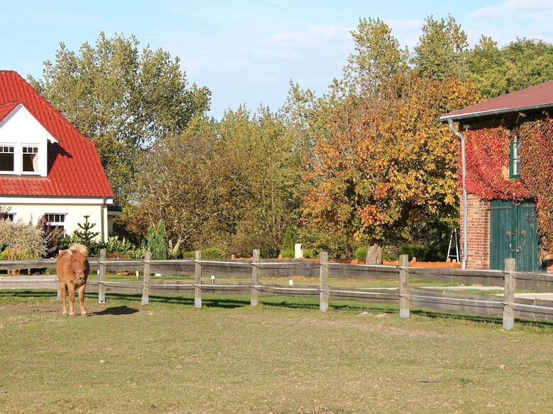 Beautiful Holiday Home In K�hlungsborn With Garden
