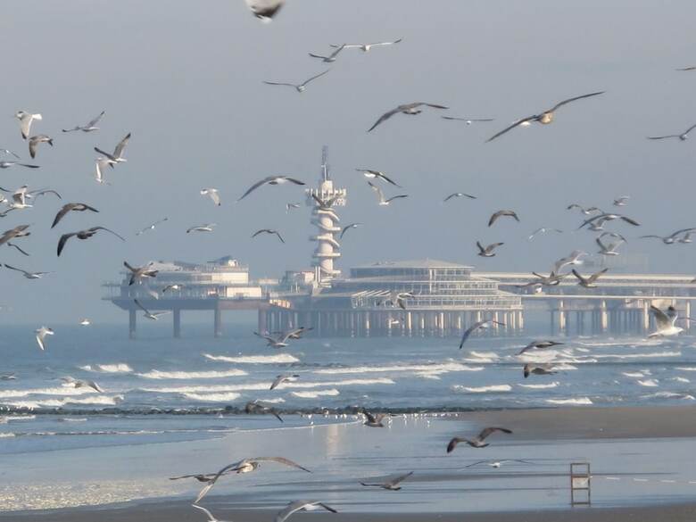 Cozy Holiday Home In Scheveningen Near The Beach