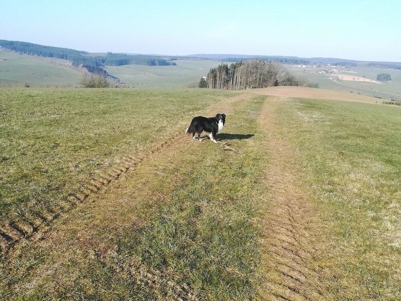 Stunning House With Uninterrupted Views, Ideal For Dog Owners And Hikers