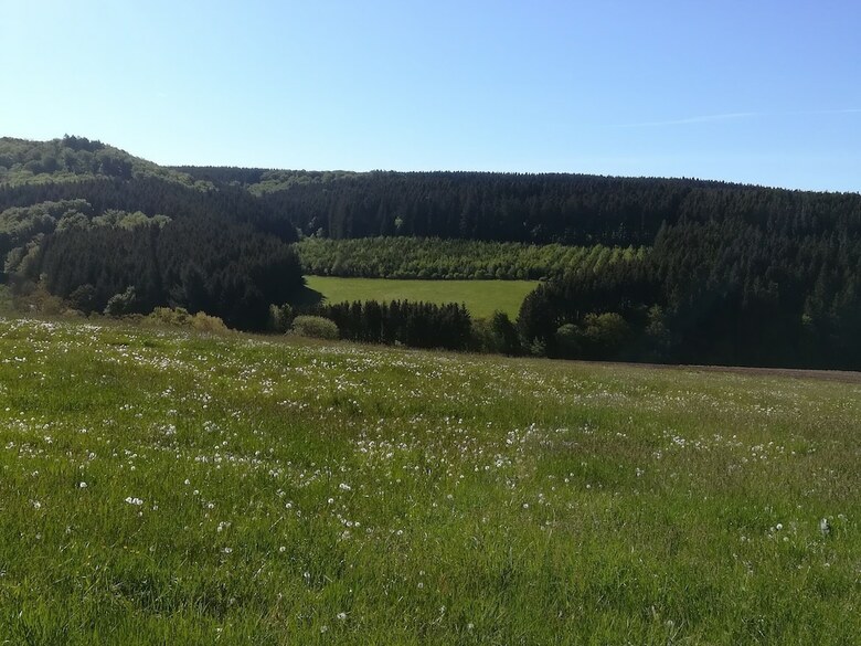 Stunning House With Uninterrupted Views, Ideal For Dog Owners And Hikers