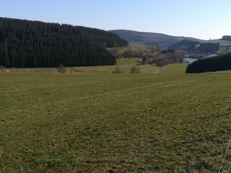 Stunning House With Uninterrupted Views, Ideal For Dog Owners And Hikers