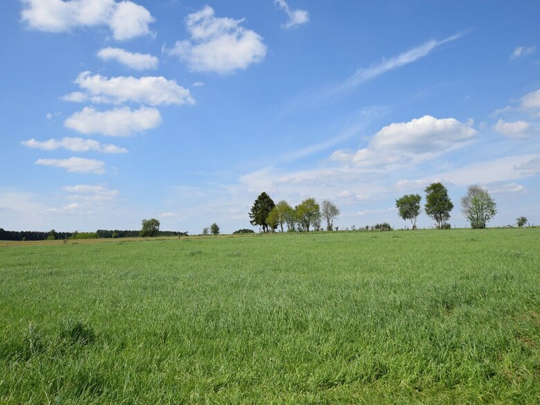 Nice Villa, Renovated 2015, Large Garden, Quiet Location, 10km From Houffalize