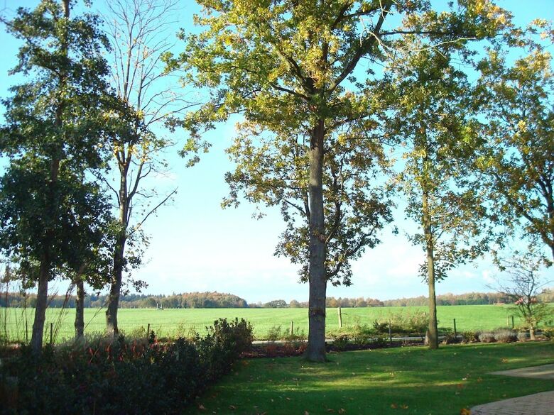 Complete Holiday Home With Shared Facilities, Amidst Lovely Frisian Surroundings