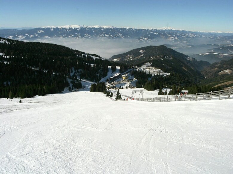 Wooden Chalet In Koralpe Amid The Forest