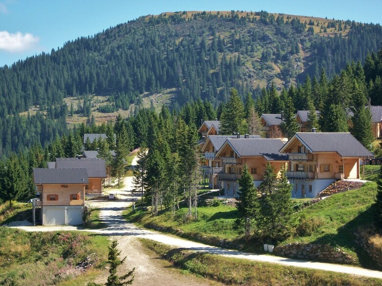 Wooden Chalet In Koralpe Amid The Forest