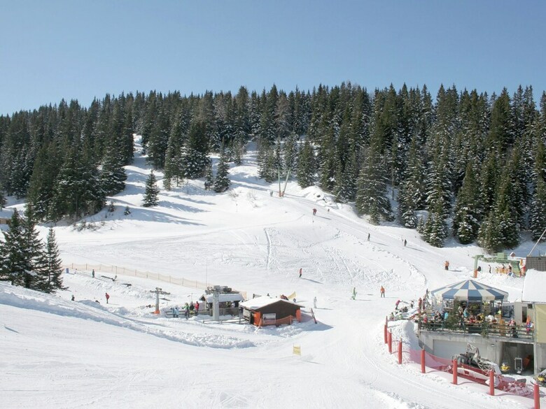 Wooden Chalet In Koralpe Amid The Forest
