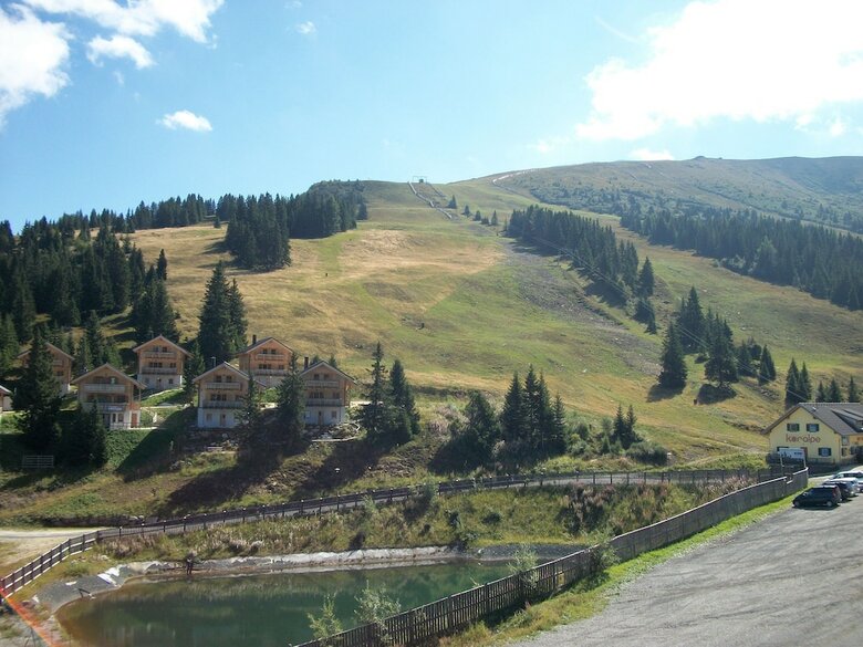 Wooden Chalet In Koralpe Amid The Forest