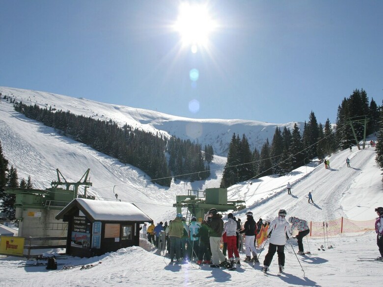 Wooden Chalet In Koralpe Amid The Forest