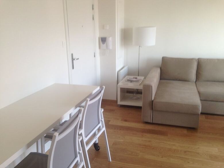 Modern Apartment In Bray-dune With Seaside View