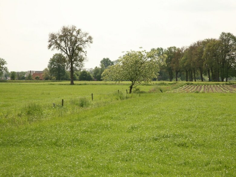 Beautiful Farmhouse In Neede Near Forest