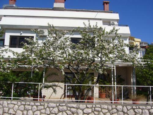 Bed & Breakfast Stella Maris Accommodation