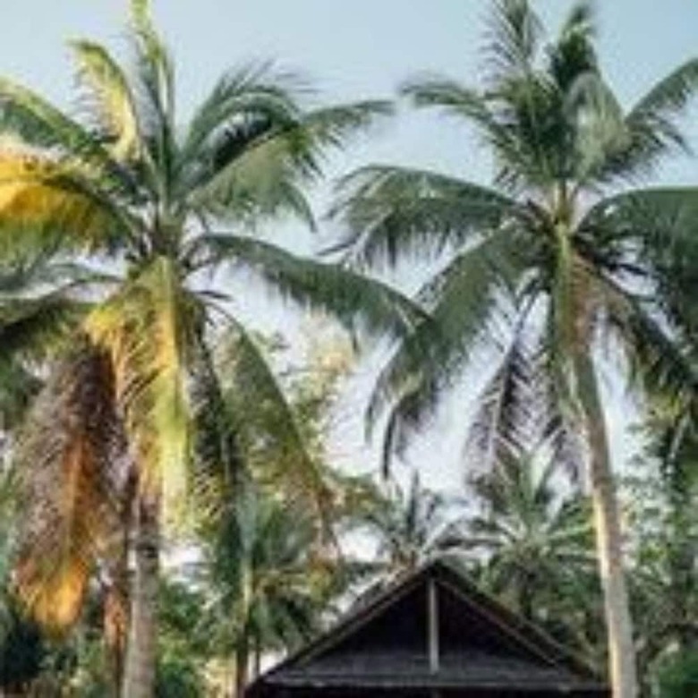 Apartamento Aore Island Resort