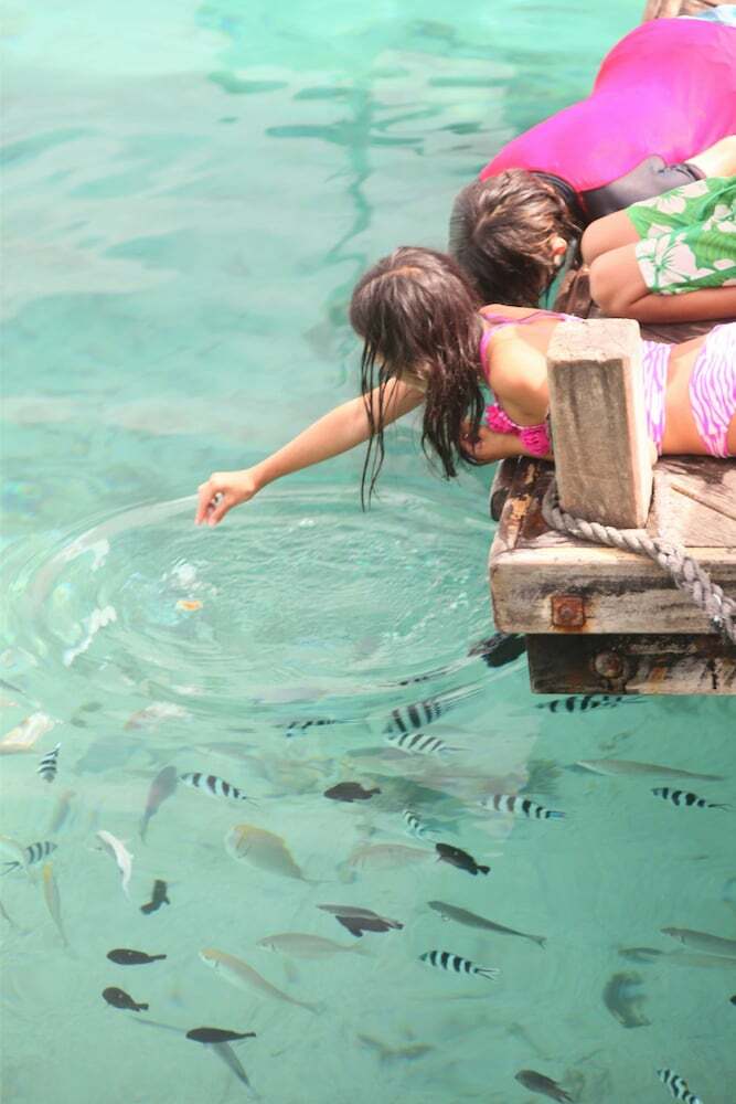 Apartamento Aore Island Resort
