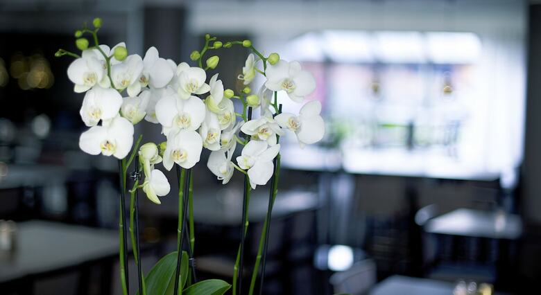Quality Hotel Winn Goteborg