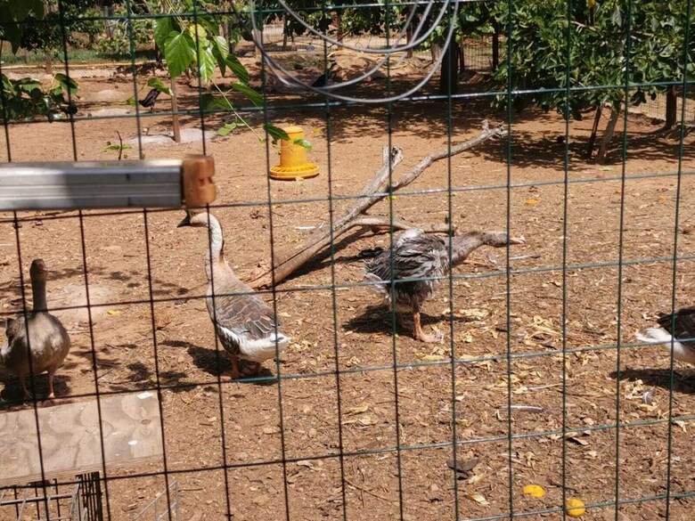 Agroturismo Masseria Provenzani