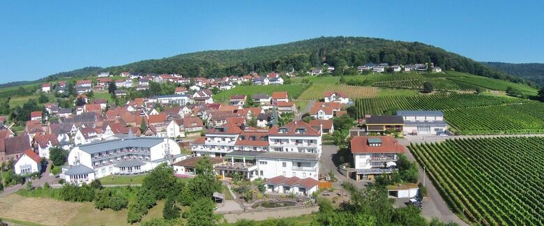 Hotel Restaurant S�dpfalz-terrassen