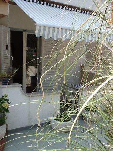 Hostal Pansion Manuela