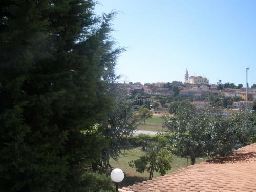 Hostal Pansion Manuela