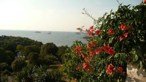 Hostal Casa Di Rose