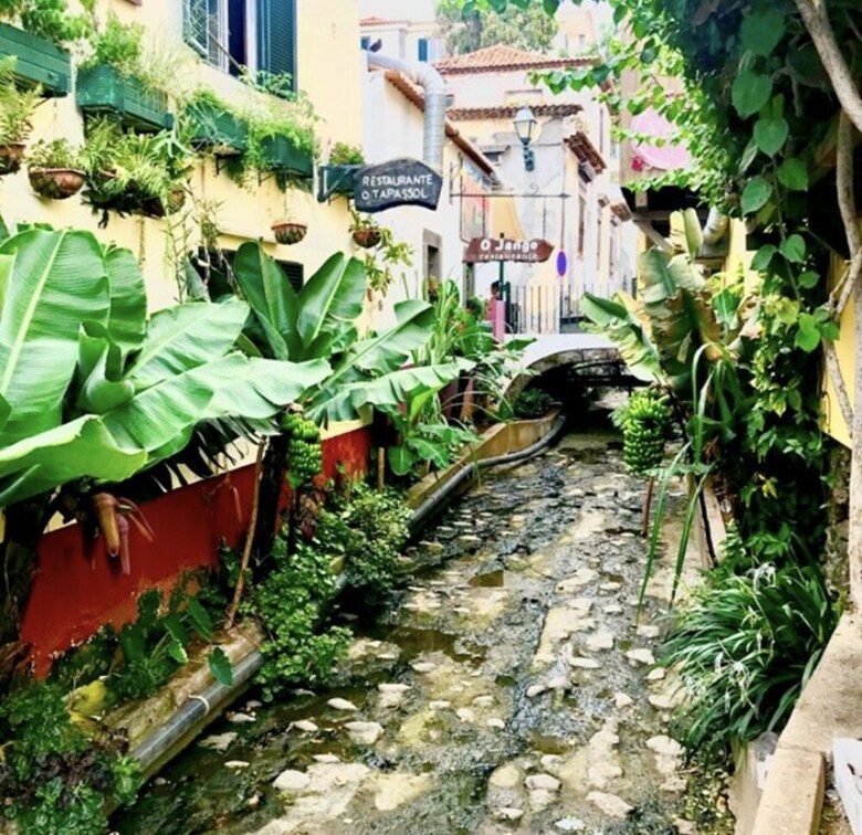 Residencia de Casa Villa