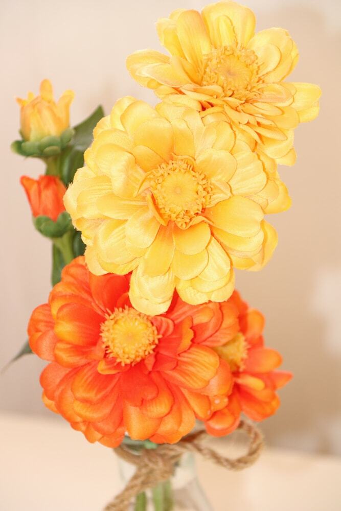 Flowers Apartments
