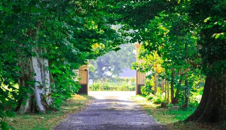 Domaine St. Ferreol - B&B