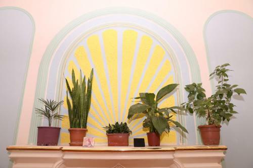 Hostal Flora Hostel
