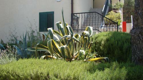 Apartments & Rooms Ruzmarin