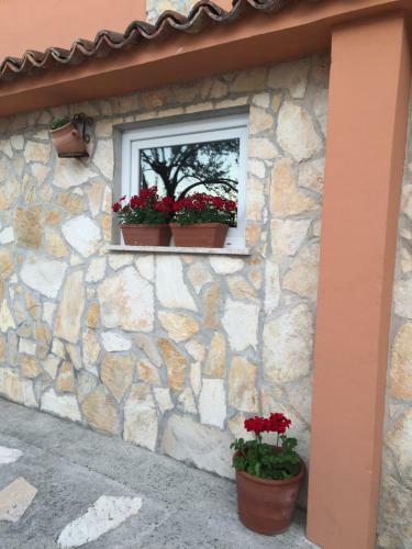 Hostal Guesthouse Tariba