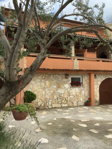 Hostal Guesthouse Tariba