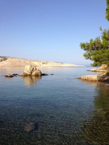 Hostal Guesthouse Tariba