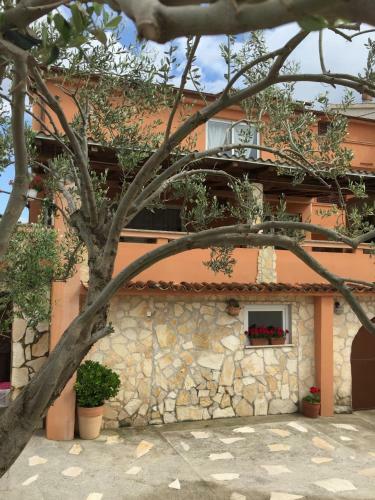 Hostal Guesthouse Tariba