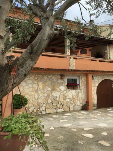 Hostal Guesthouse Tariba