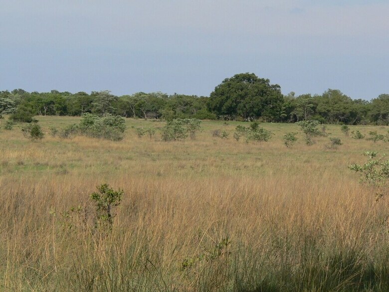 Posada Izintaba Private Game Reserve